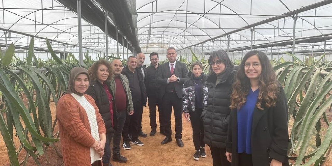 "Efeler’de Pitaya Güçleniyor" projesi incelendi