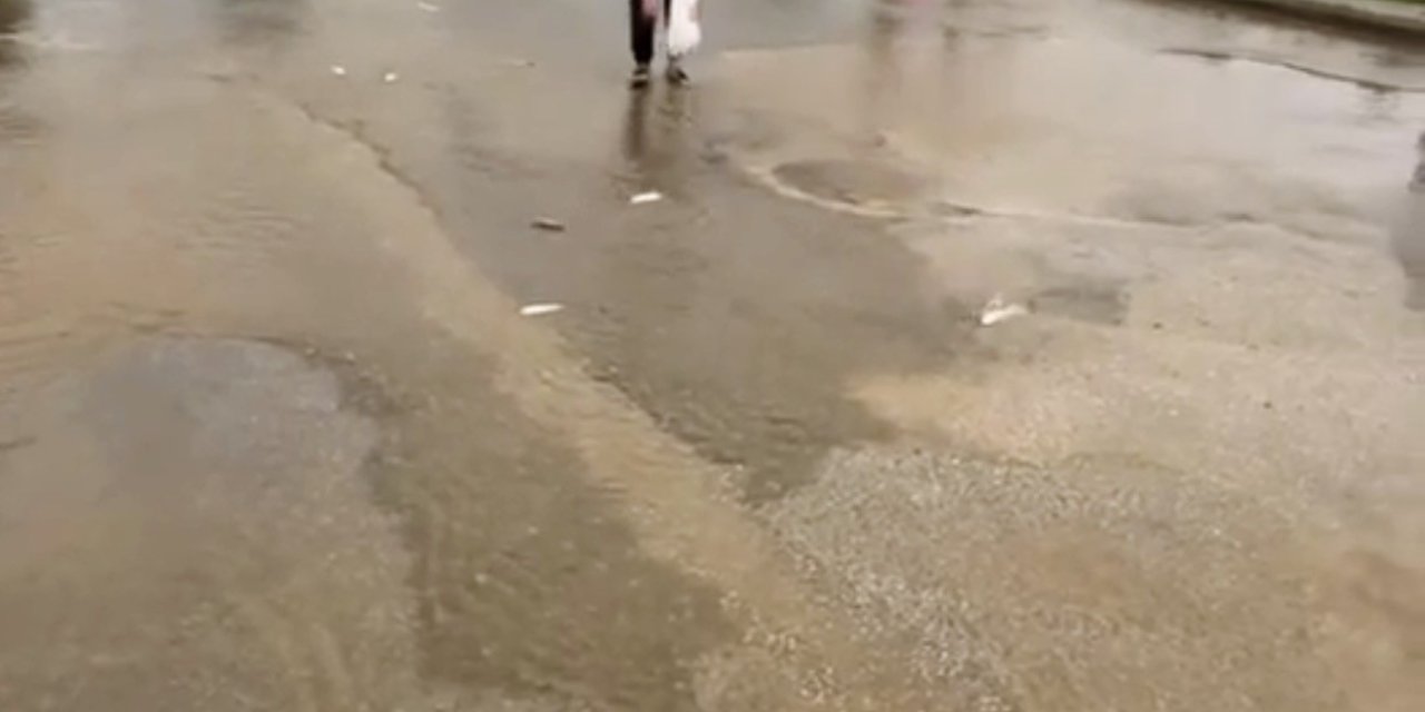 Bodrum’da sağanak baskını: Gölet taştı, asfalta balık yağdı