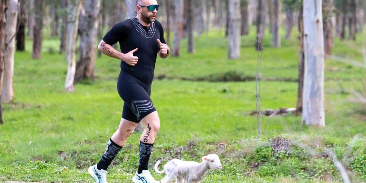 Triatlon yarışında parkura giren kuzu, renkli görüntülere neden oldu