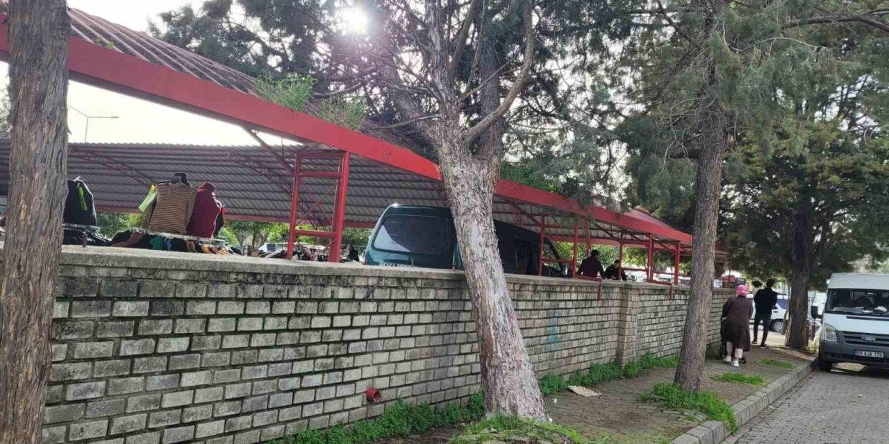 Efekent Pazaryeri’nde rüzgar ağacı devirdi