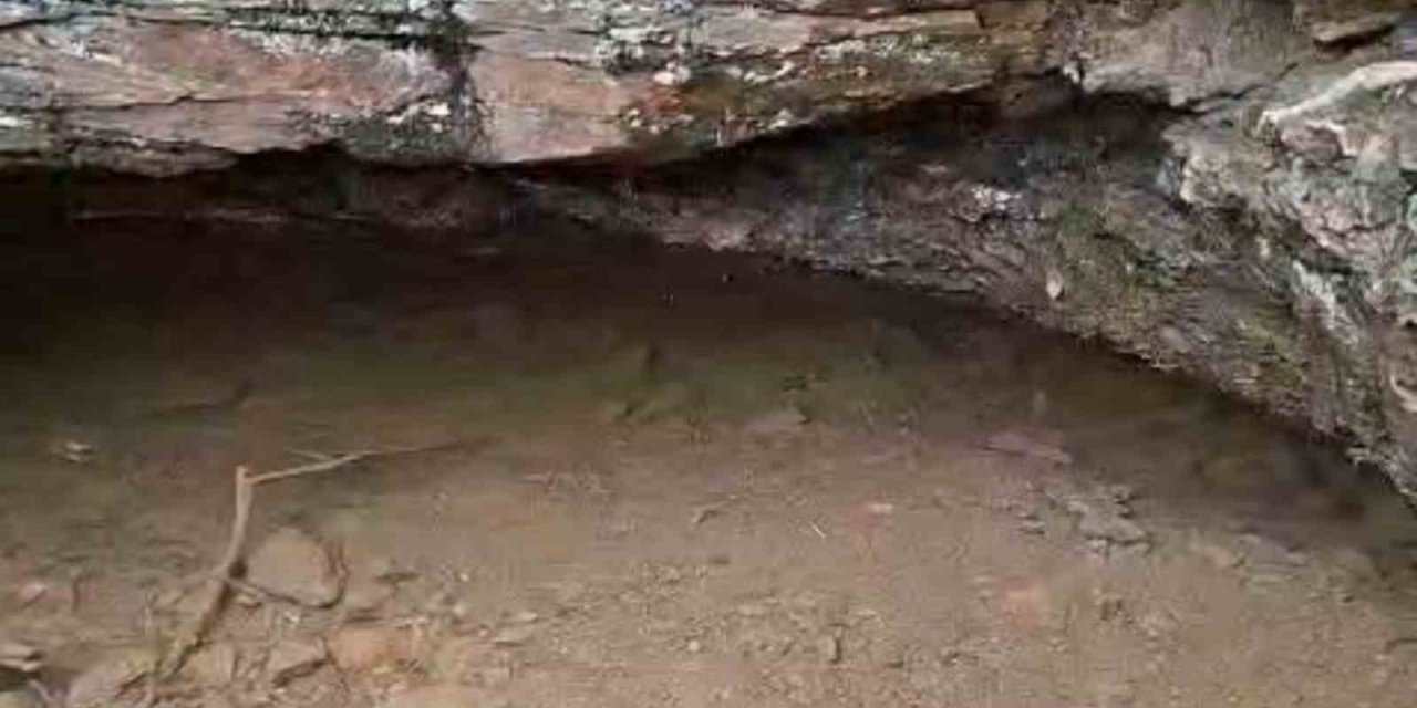 Bayındır Veli Deresi 35 yıl sonra yeniden akmaya başladı