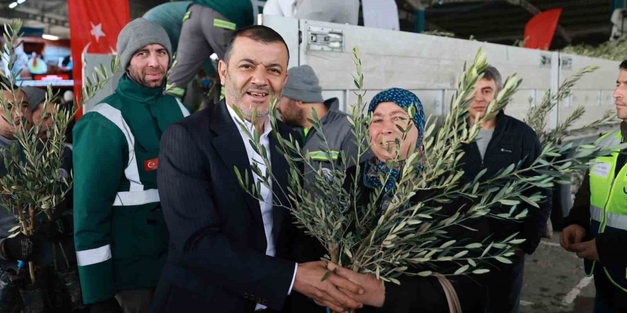Denizli’nin 19 ilçesinde 84 bin zeytin fidanı üreticilere dağıtıldı