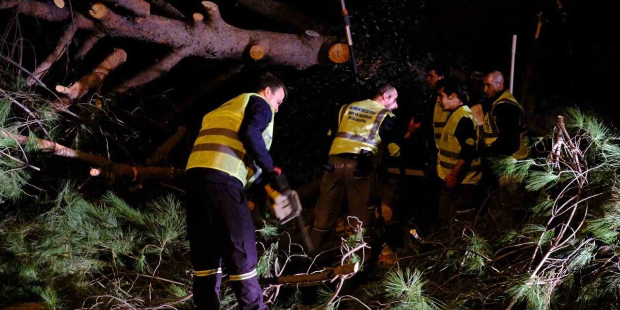 Bodrum Belediyesi fırtına dinlemedi