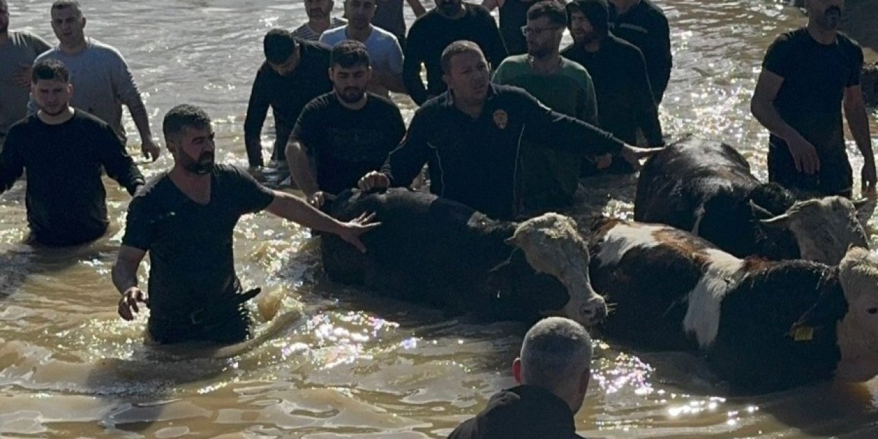 Taşan Gediz Nehri dolayısıyla mahsur kalan 44 kişi ve 127 hayvan kurtarıldı