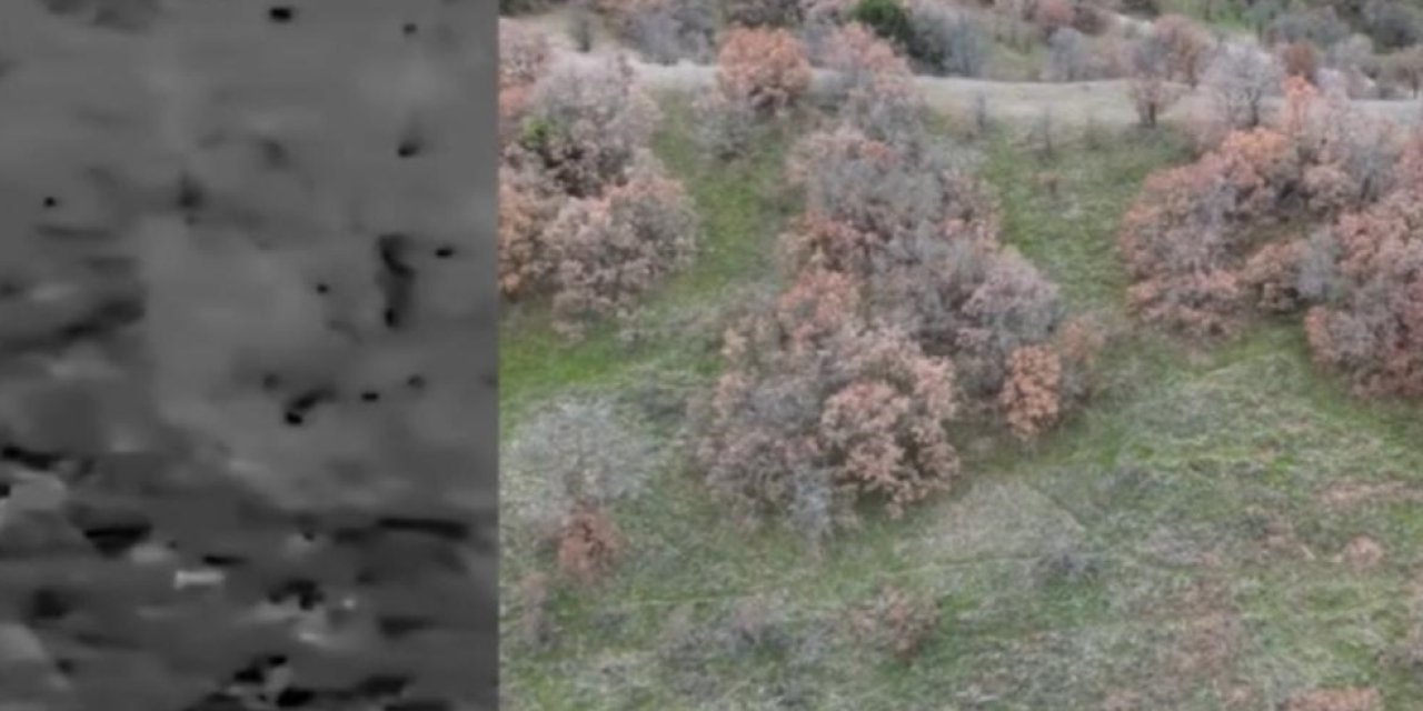 Termal drone destekli denetimde 2 kaçak avcı yakalandı