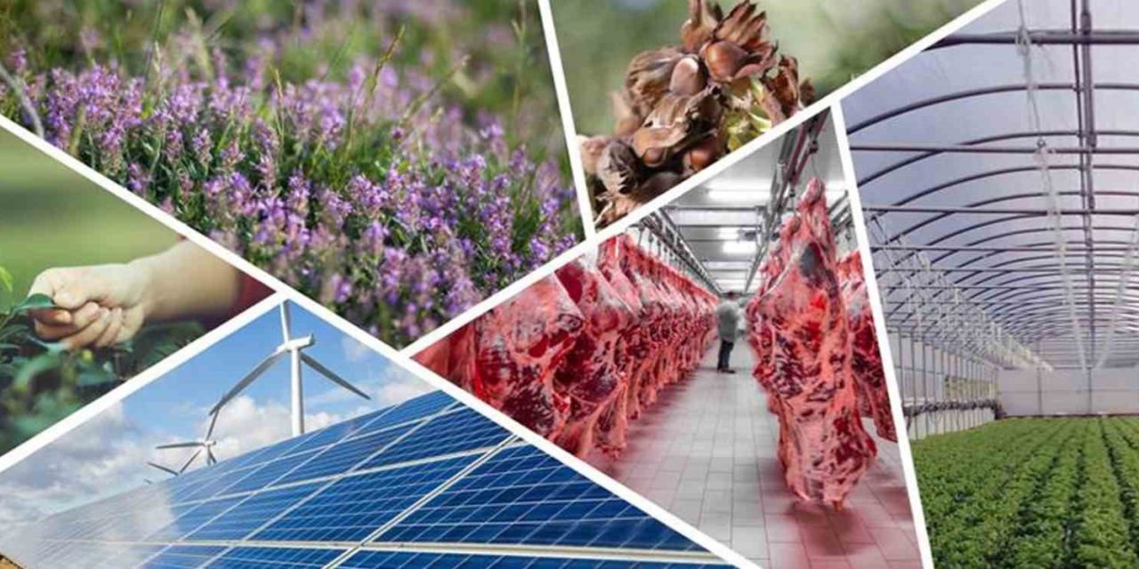 Denizli’de tarımsal kalkınmaya 82 milyonluk hibe desteği