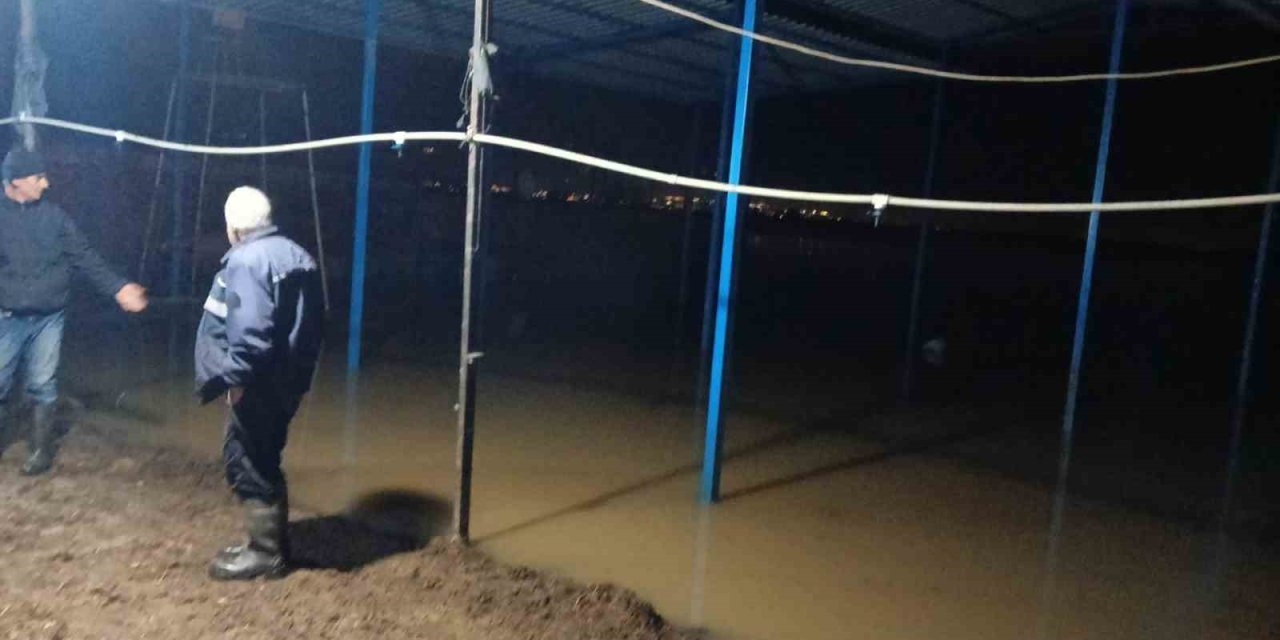 Koçarlı’da su baskını sonrası hayvan tahliyesi sürüyor