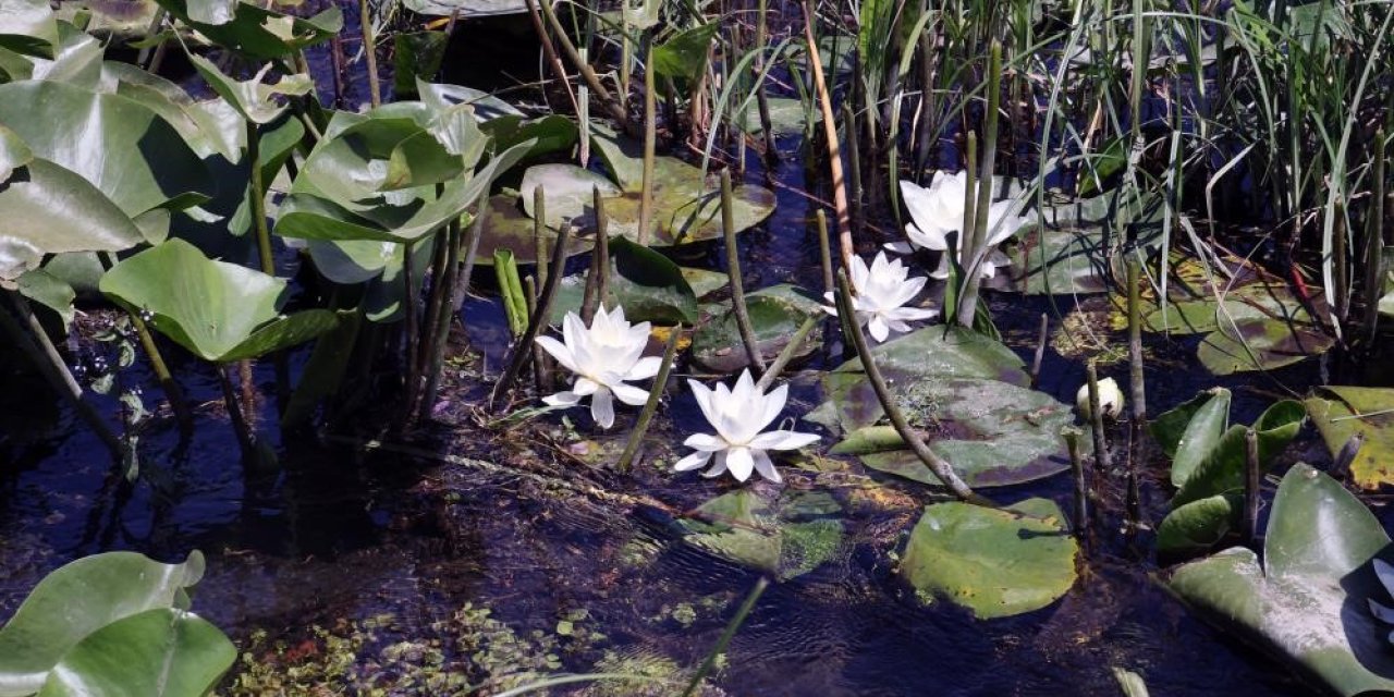 MSKÜ’lü bilim insanlarından kozmetik sektöründe uluslararası başarı