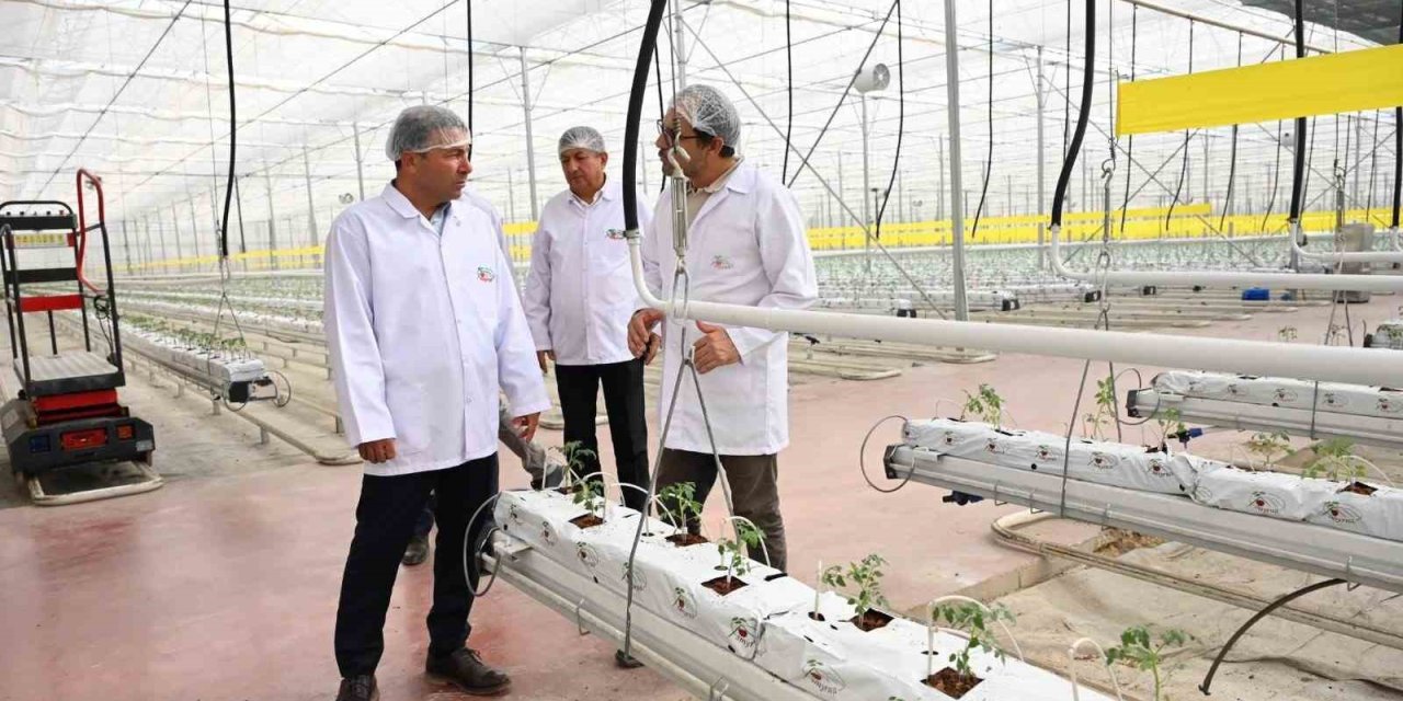 Denizli’nin 2025 bitkisel üretim tablosu yüz güldürdü