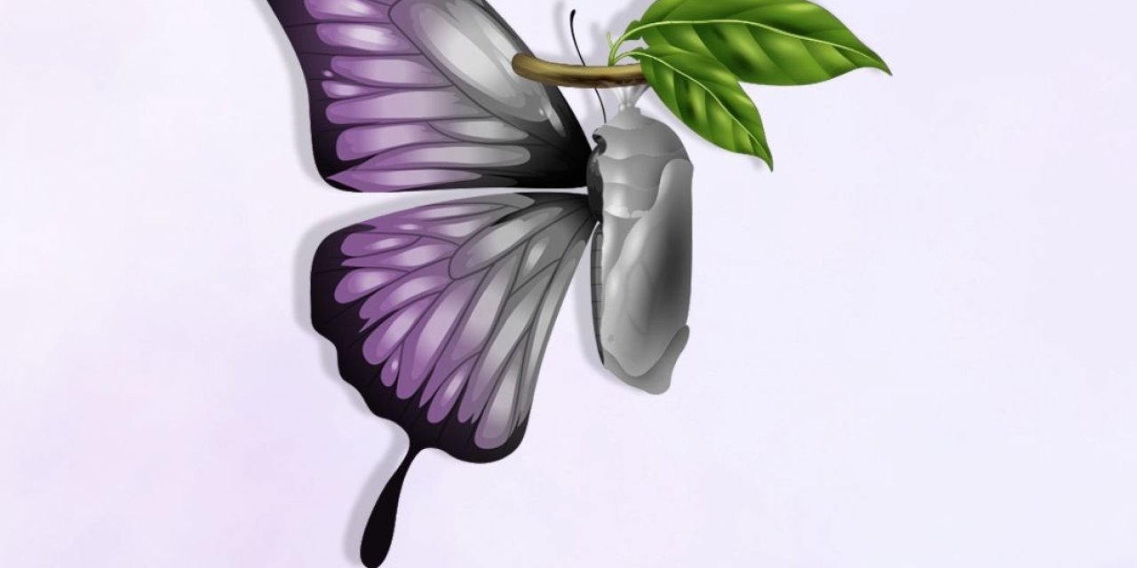 Didim Belediyesi’nden Ergenlik ve İlk Gençlikte Kadın Sağlığı Eğitimi