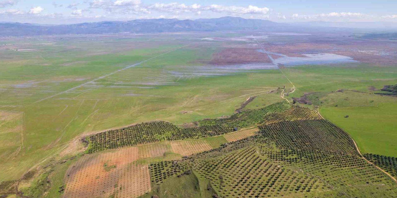 Kuruyan Marmara Gölünde umutlandıran görüntü