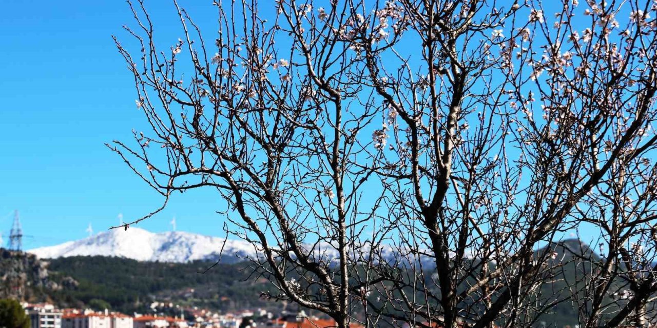 Muğla’da kış ve bahar aynı karede