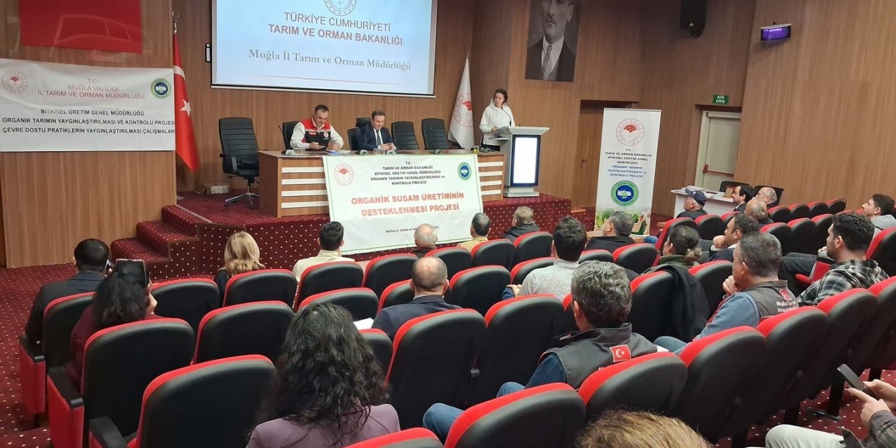 Gökova susamı için organik üretim masaya yatırıldı