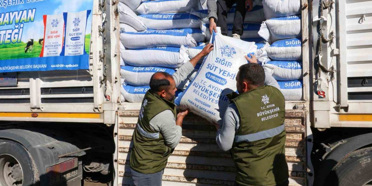 Büyükşehir’in üreticilere yem desteği devam ediyor