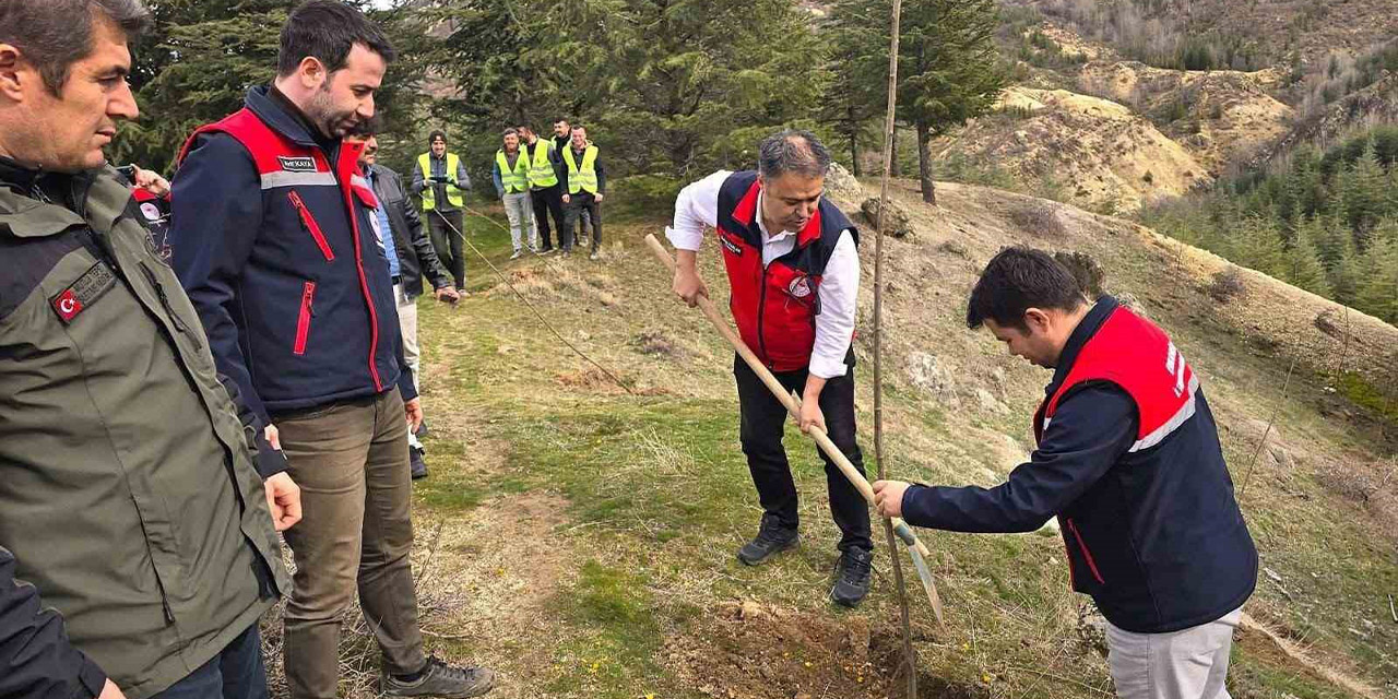 Afyonkarahisar’da 2 bin kestane fidanı toprakla buluşturuldu
