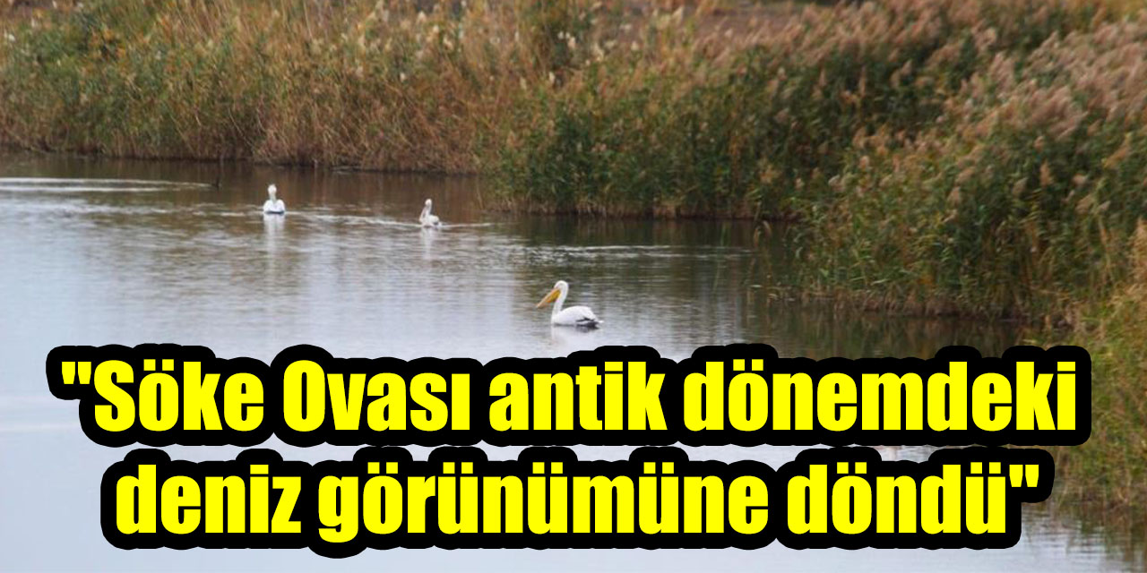 "Söke Ovası antik dönemdeki deniz görünümüne döndü"