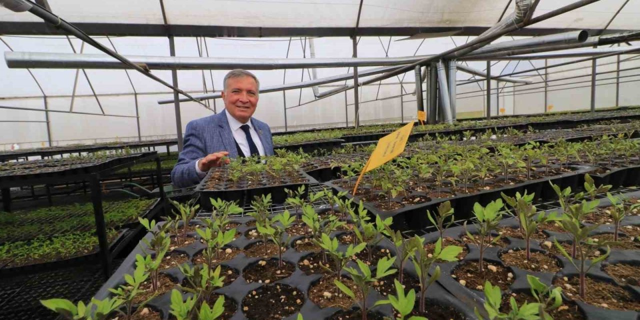 Honaz’da 8 Mart’a özel 8 bin çiçek kadınlara dağıtılacak