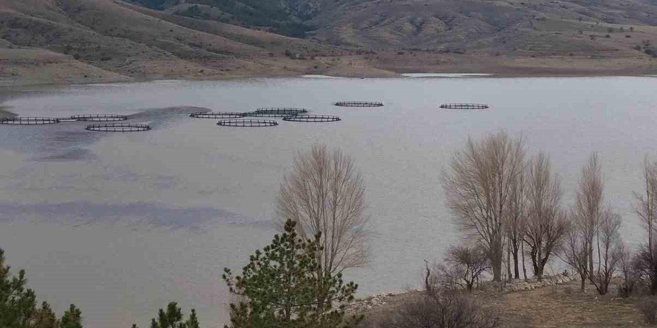 Kurumaya yüz tutan barajda doluluk oranı yüzde 50 seviyelerine yaklaştı
