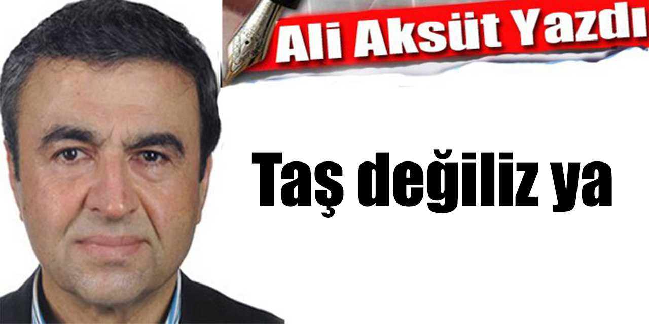 Taş değiliz ya