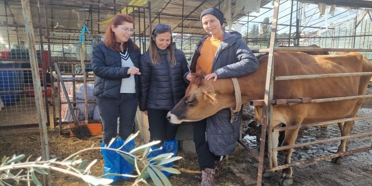 Muğla’daki projeyle üreticiler bilgilendiriliyor