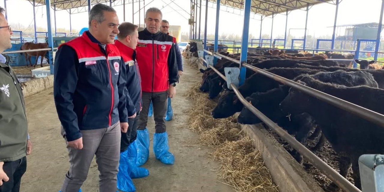 Devlet desteğiyle işini büyüten işletmeler incelendi