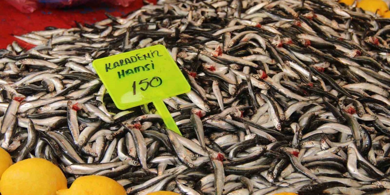 Menteşe pazarında hamsi ucuzladı