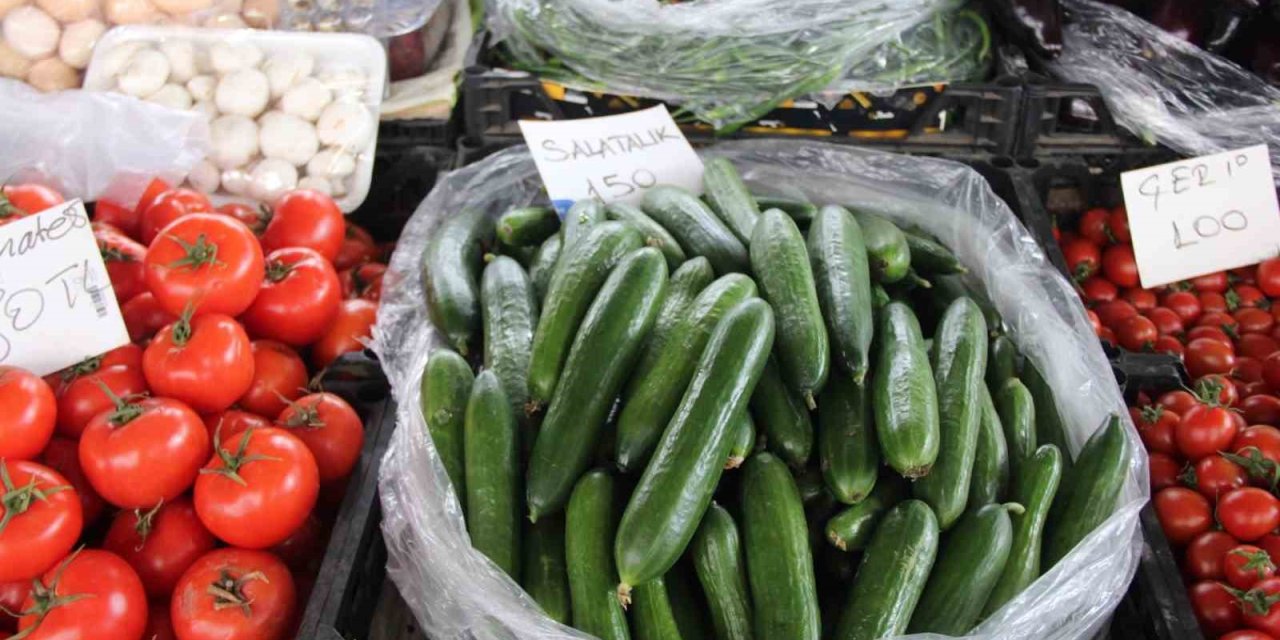 Seralar zarar gördü, Muğla’da salatalık rekor fiyata ulaştı