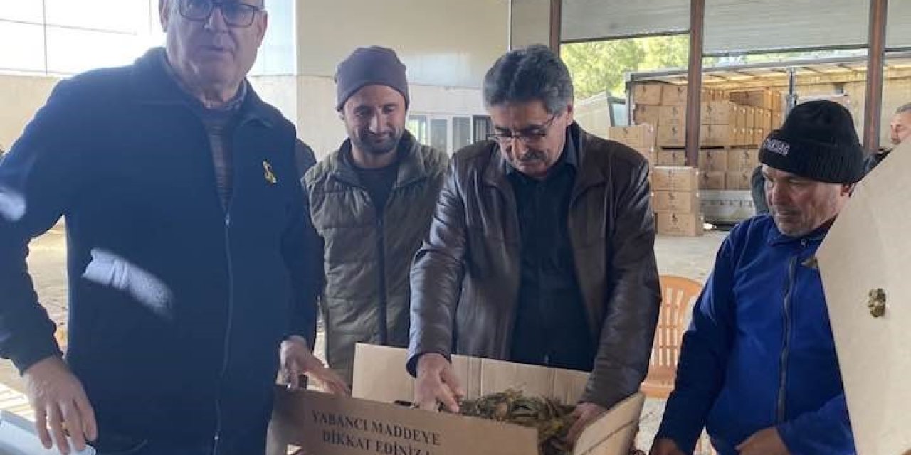 Karacasu’da tütünler paketlenmeye başladı, üretici fiyatlardan dert yandı