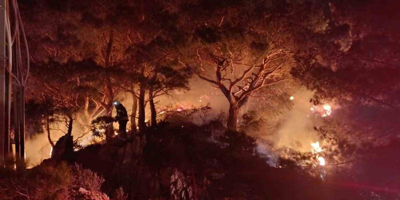 Bodrum’da ormanlık alanda yangın: 2 dönüm alan zarar gördü