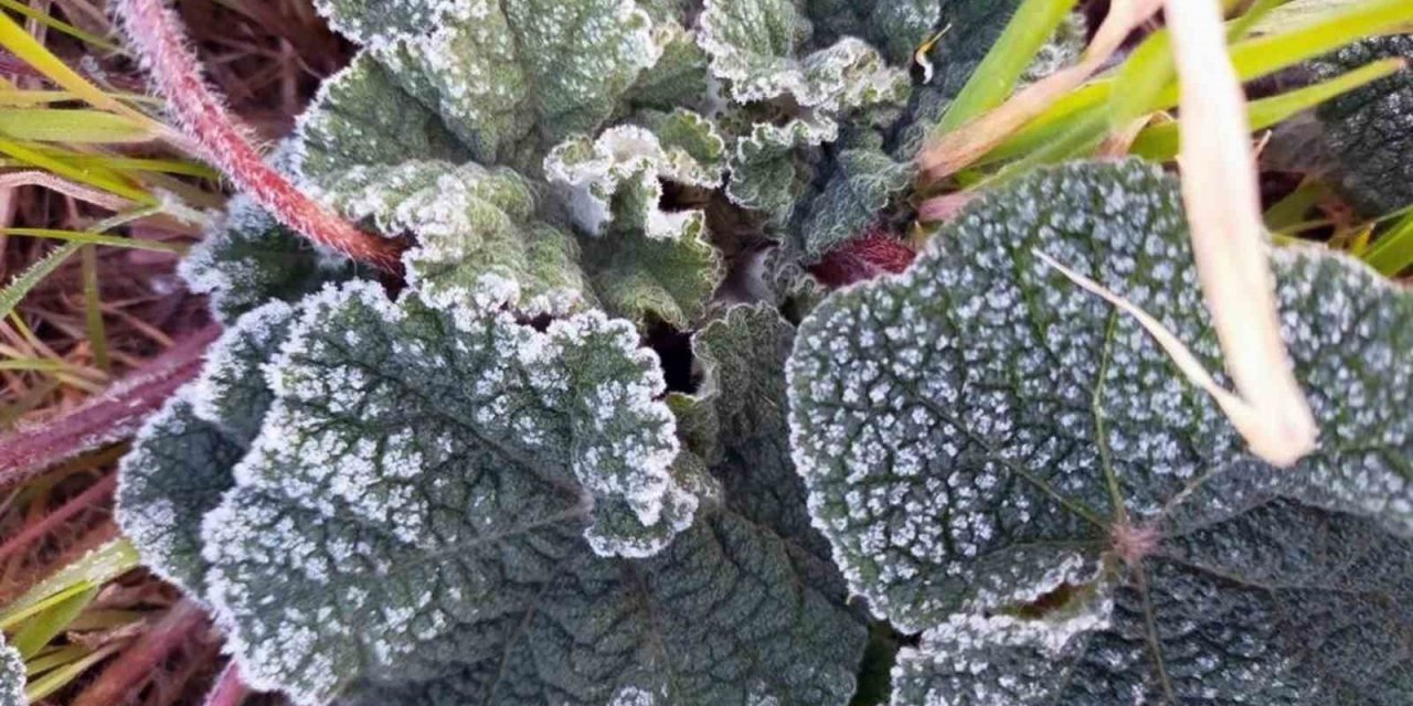 Muğla 5 gün soğuk havanın etkisinde olacak