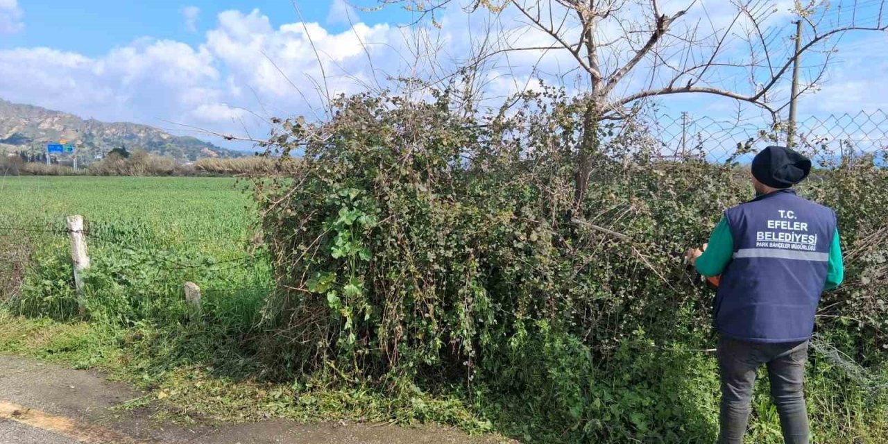 Efeler’in yeşil alanlarında temizlik çalışması sürüyor