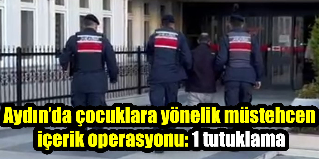 Aydın’da çocuklara yönelik müstehcen içerik operasyonu: 1 tutuklama