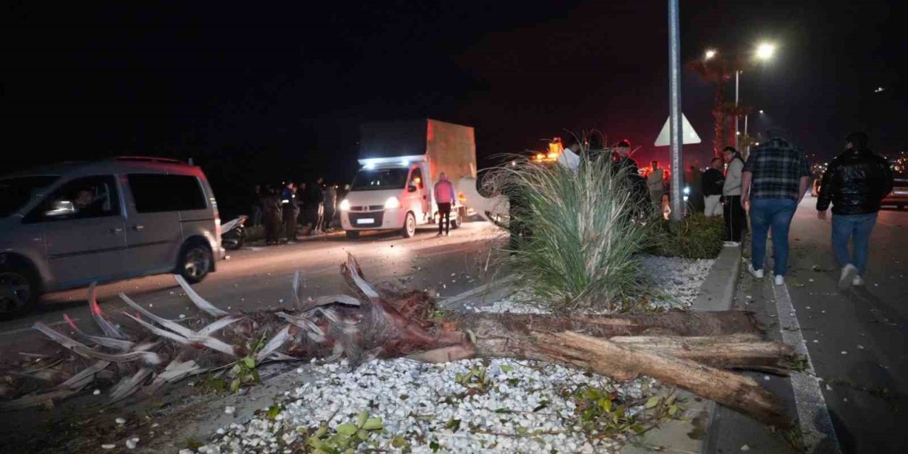 Çevre yolunda yarış yapan lüks araç hakimiyetini kaybetmesi sonucu önce refüjdeki ağaca ardından karşı şeride geçerek takla attı