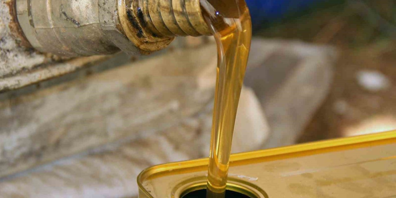 Türk çam balının dünya pazarındaki ekonomik payı arttırılacak