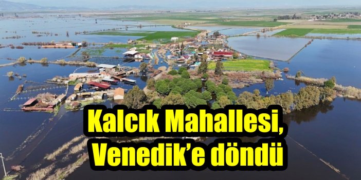 Kalcık Mahallesi, Venedik’e döndü