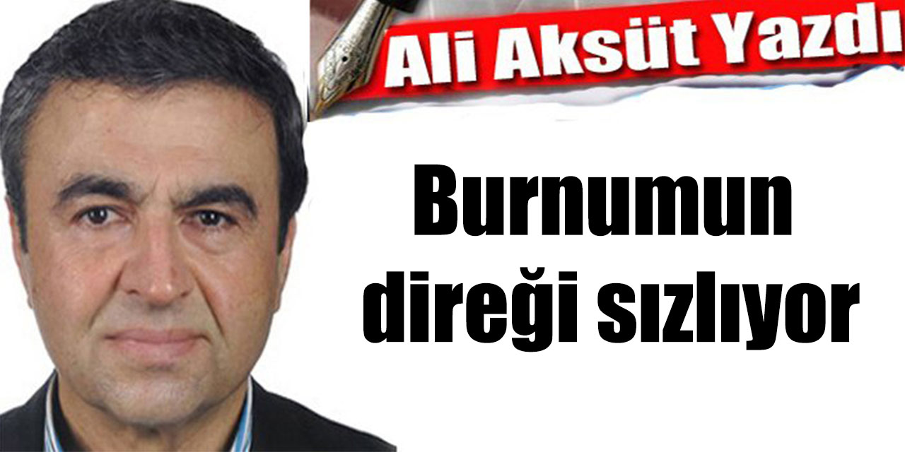 Burnumun direği sızlıyor