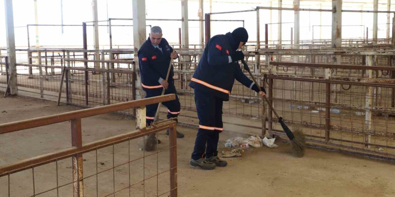 Nazilli Hayvan Pazarı 7 ay sonra yeniden açılıyor