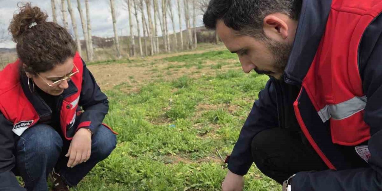 Tarım arazilerinde hastalık ve zararlı kontrolleri yapıldı