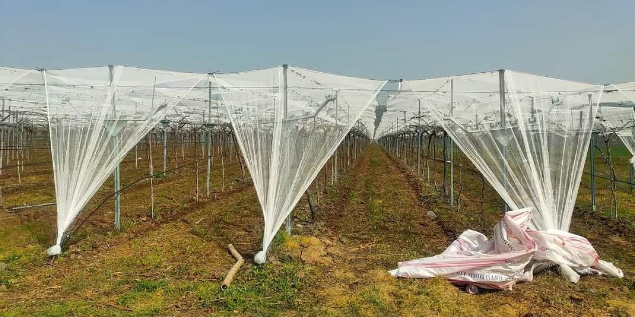 Dolu korkusuna fileli önlem