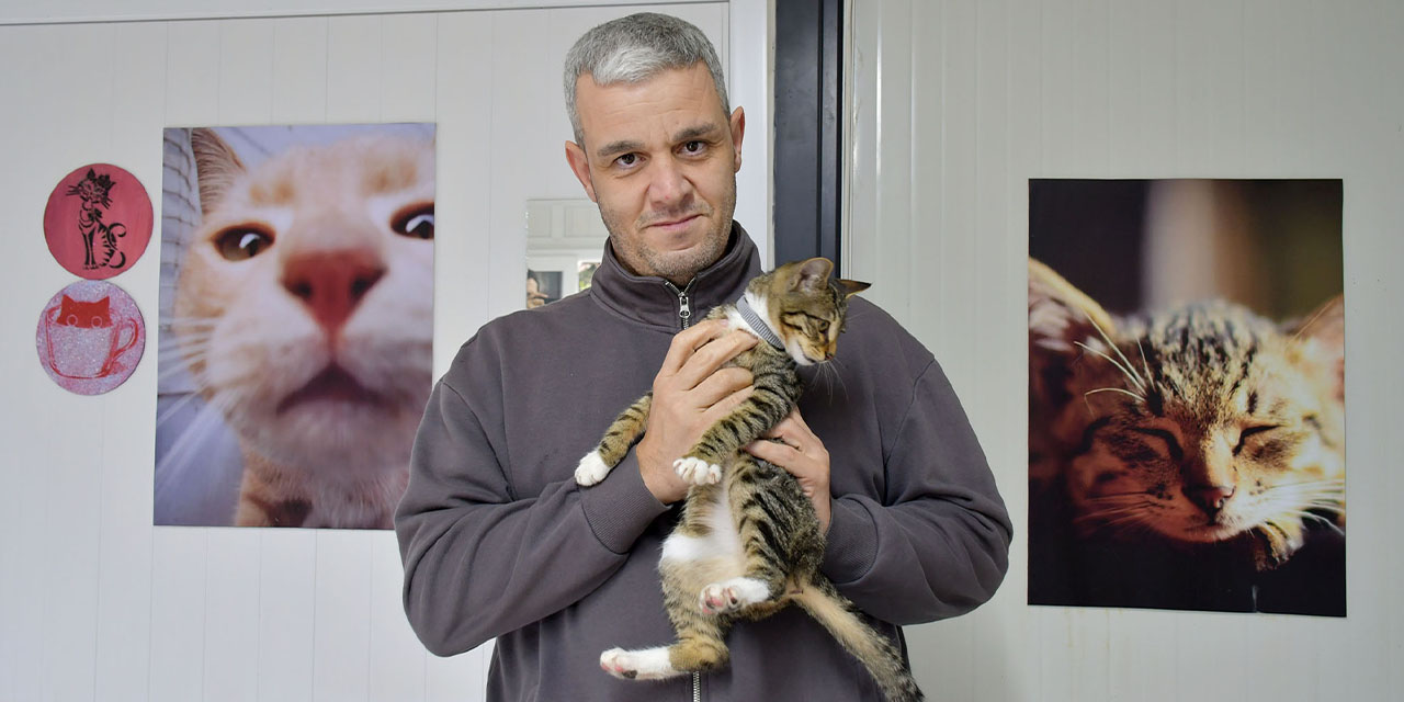 Kuşadası Belediyesi’nden sokak kedileri için kısırlaştırma çağrısı