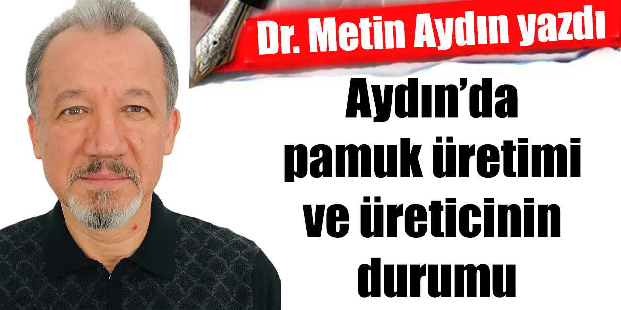 Aydın’da pamuk üretimi ve üreticinin durumu