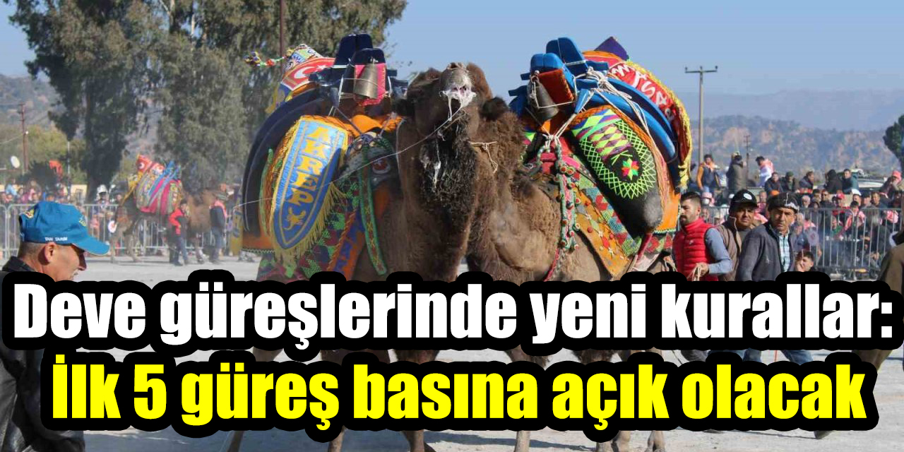 Deve güreşlerinde yeni kurallar: İlk 5 güreş basına açık olacak