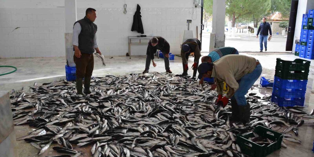 Muğla Şubat ayında 102 milyon dolar ihracat gerçekleştirdi