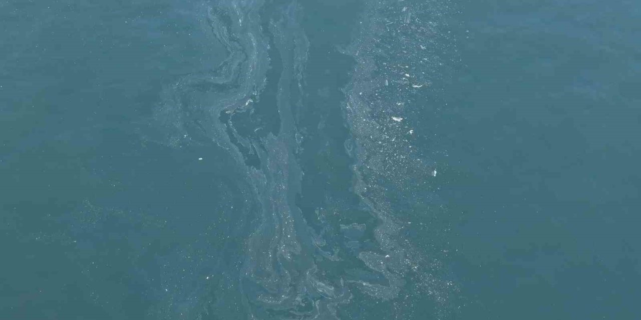 İzmir Körfezi’nde yine kirlilik tespit edildi