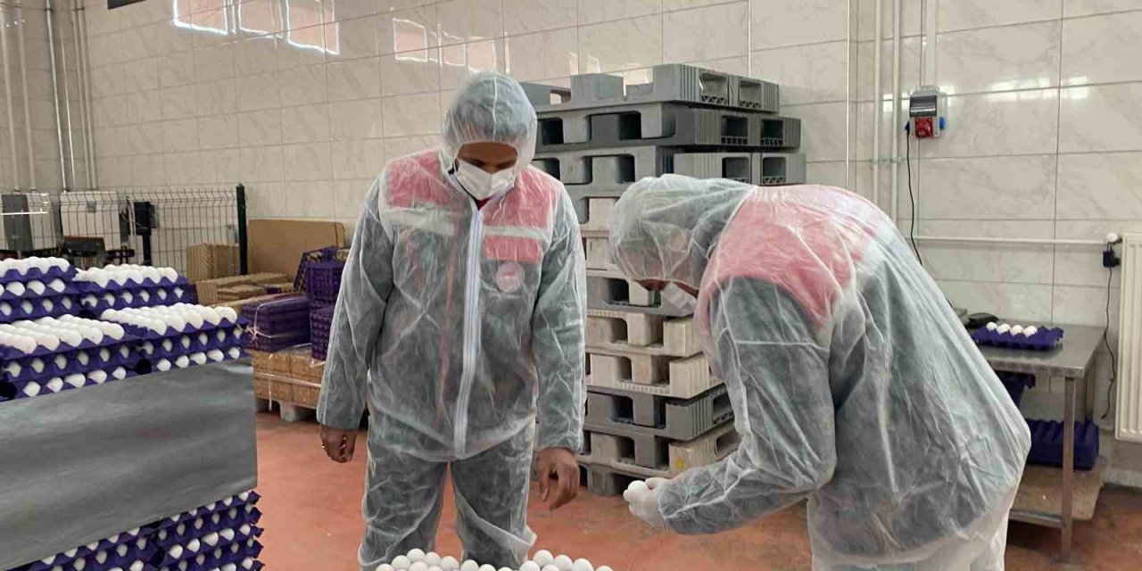 Yumurta paketlemesi yapan işletmelere yönelik denetim