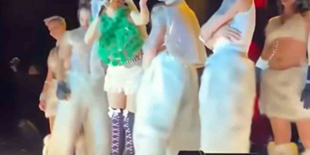 Şarkıcı Hande Yener hakkında ‘Cumhurbaşkanına hakaret’ ve ‘Anayasal düzeni hedef alma’ soruşturması