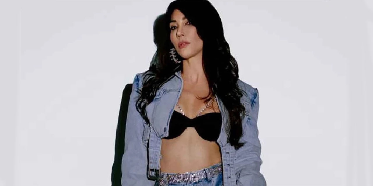 Hande Yener’e Cumhurbaşkanı Erdoğan'a hakaretten soruşturma