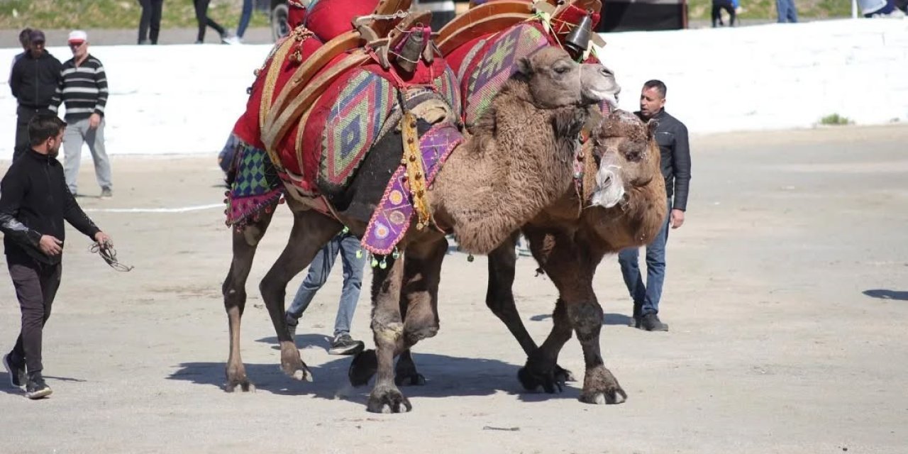 Başkan Kaya: "Bu yıl sezonun ilk güreşlerini yapmak bizlere nasip oldu"