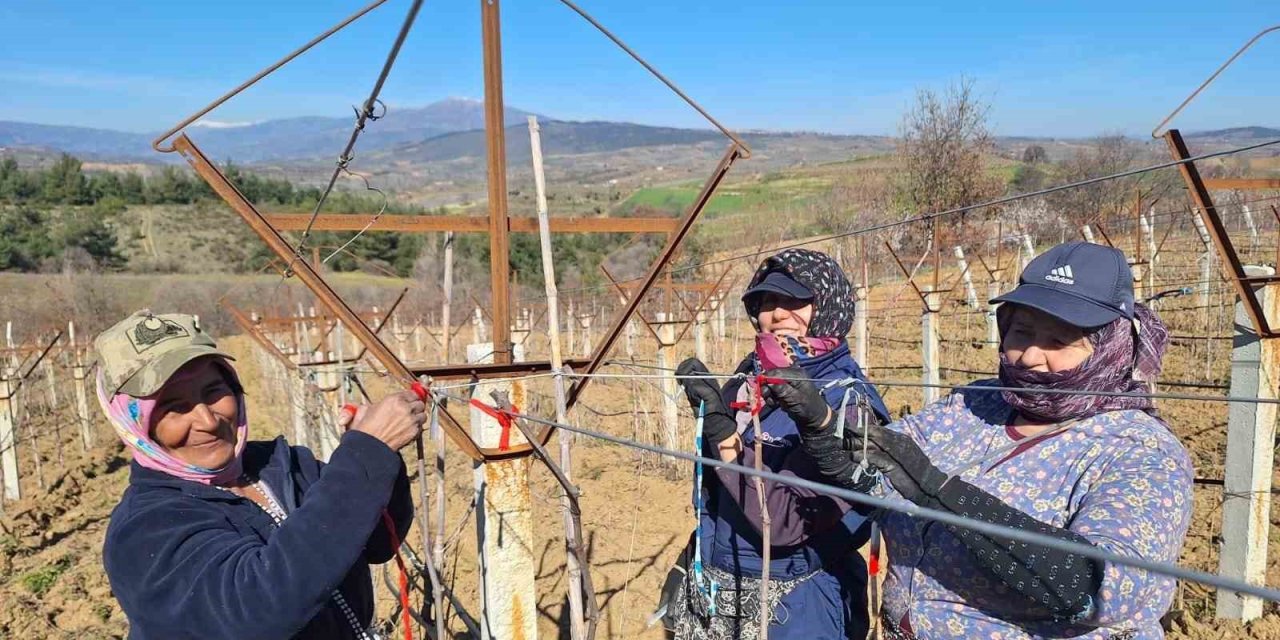 Sarıgöllü kadınlar 8 Mart’ı bağlarda çalışarak kutladı