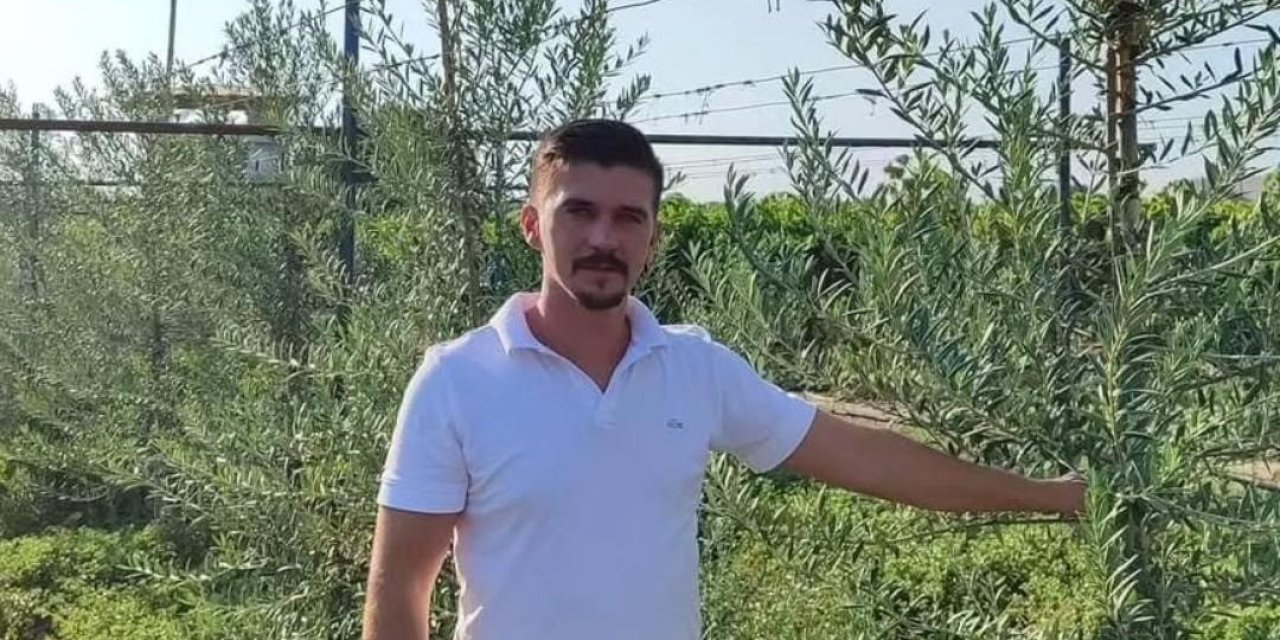 Sarıgöl’de ’bodur’ zeytin dönemi